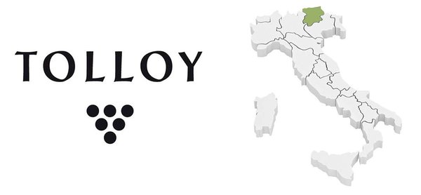 Logo of the Cantina Tolloy from South Tyrol.