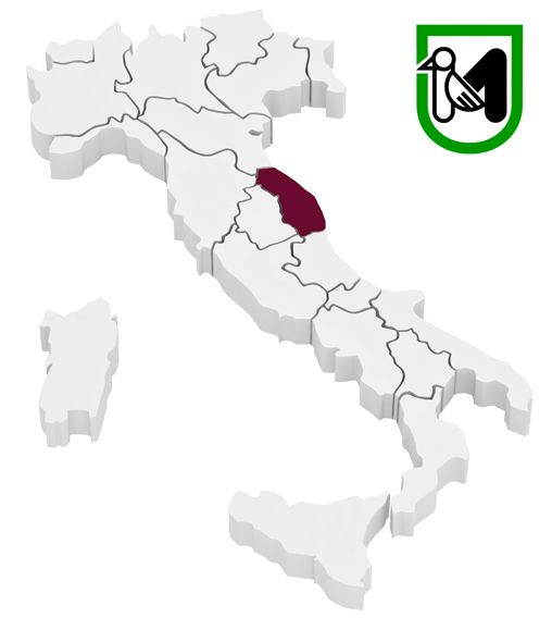 Marche region
