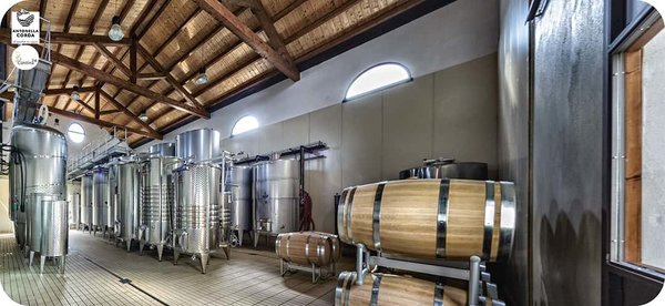 Wine cellar Antonella Corda in Sardinia - Cantina24.