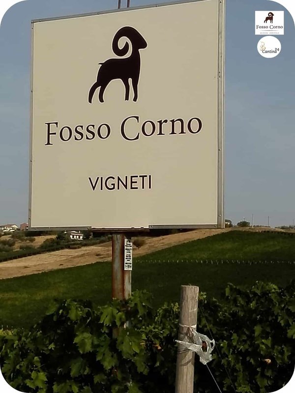 Fosso Corno sign on their own vineyard - Cantina24.