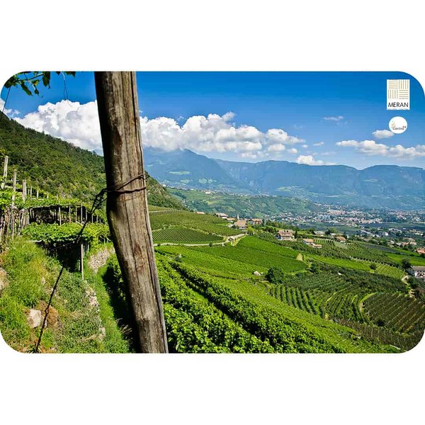 Vineyard of the Merano winery near Algund - Cantina24