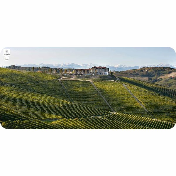 Vineyards in the Langhe area in Piedmont - Cantina24.
