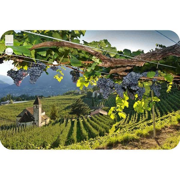 Vineyard of the Merano winery near Schenna, Labers, St.Valentin - Cantina24