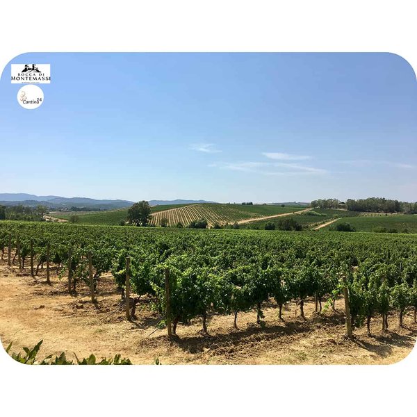 The vineyards of Rocca di Montemassi in Tuscany - Cantina24.