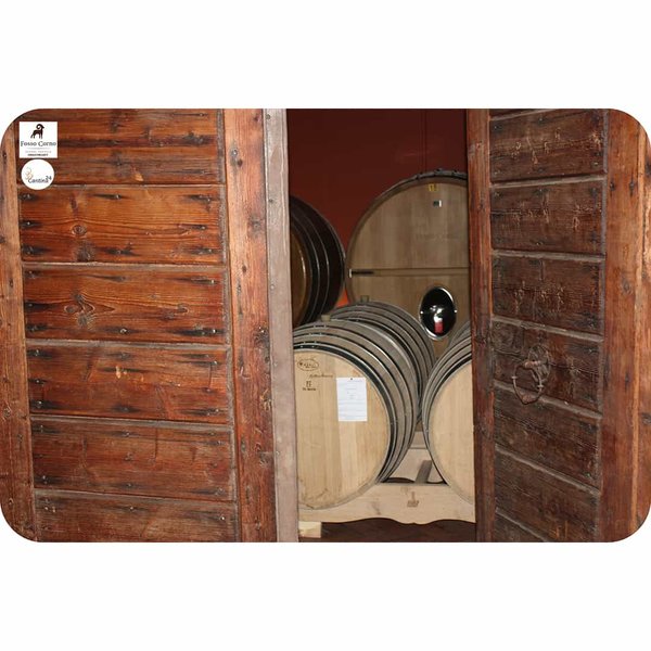 Fosso Corno winery cellar - Cantina24.