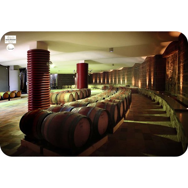 Lagerung der Weine bei der Villa Raiano - Cantina24