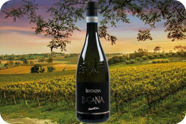 Lugana DOC 2020 from Cantina Bertagna in Lombardy