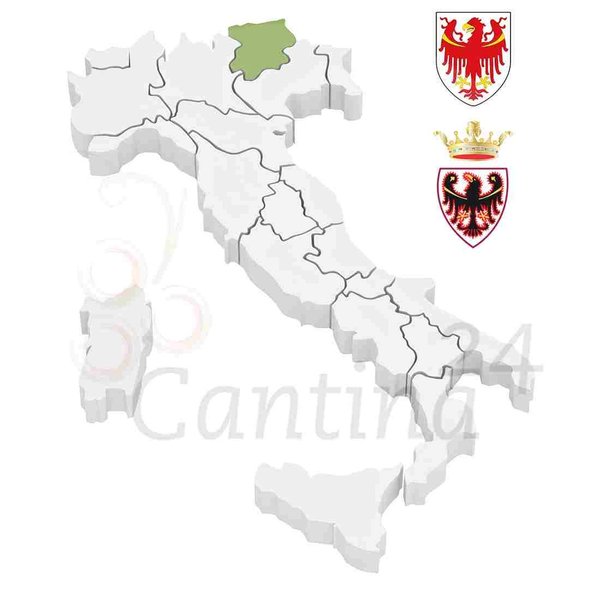 Pinot Grigio Riserva Trentino DOC 2020 (Anderes Etikett)